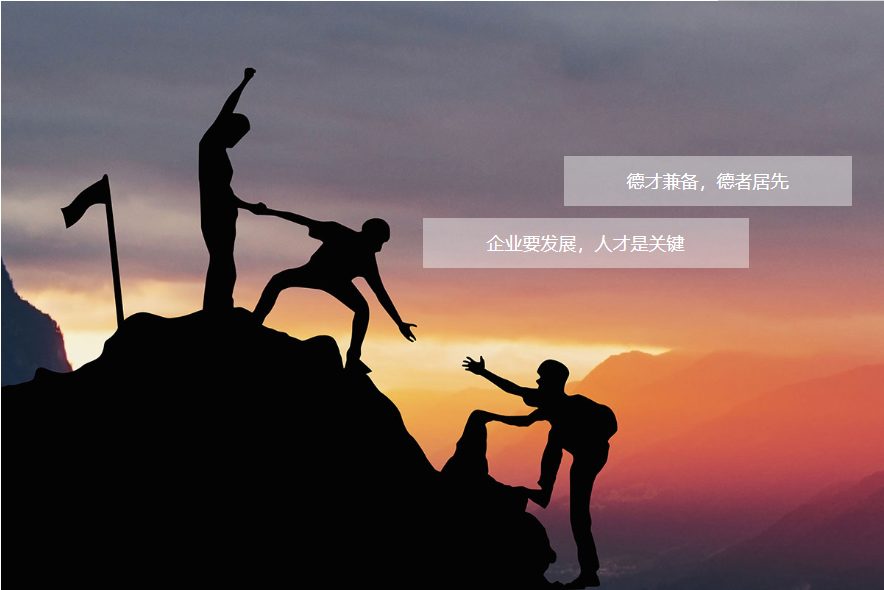 246蓝月亮精选二四六资料