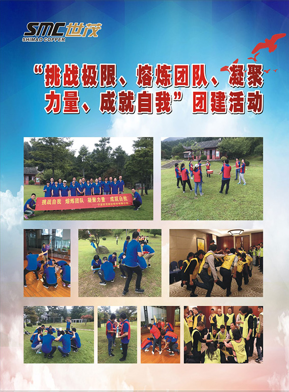 246蓝月亮精选二四六资料