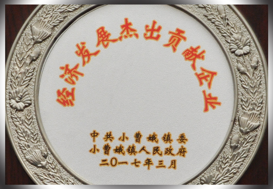 246蓝月亮精选二四六资料