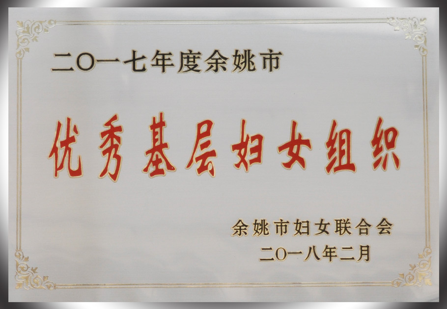 246蓝月亮精选二四六资料