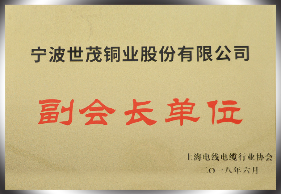 246蓝月亮精选二四六资料