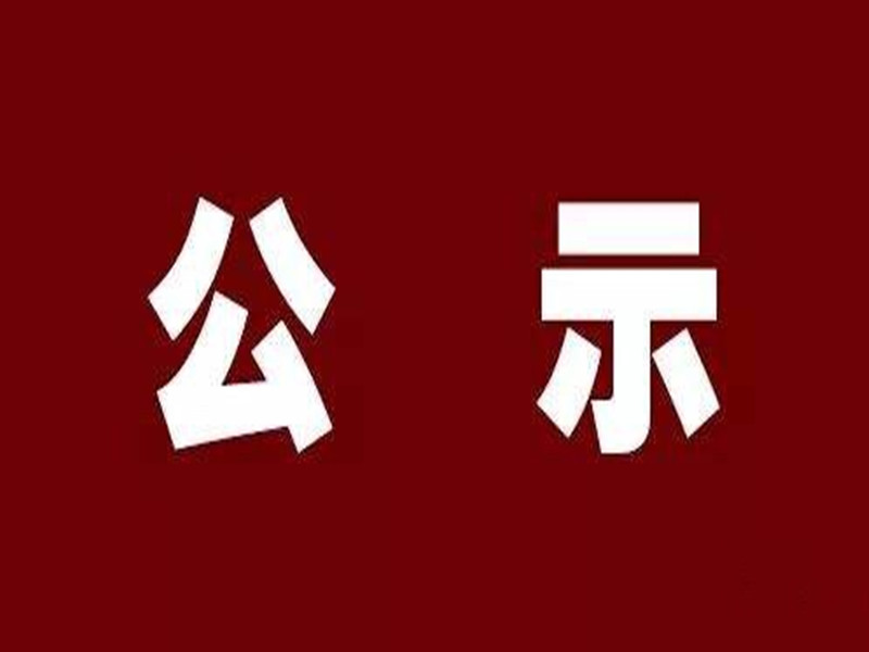 246蓝月亮精选二四六资料